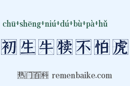 初生牛犊不怕虎是什么意思的图片